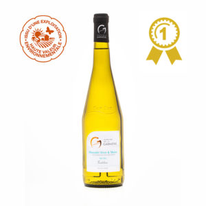 Muscadet Sèvre et Maine sur Lie Tradition