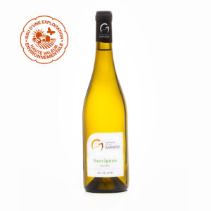 Sauvignon Blanc